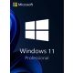 Microsoft Windows 11 Pro